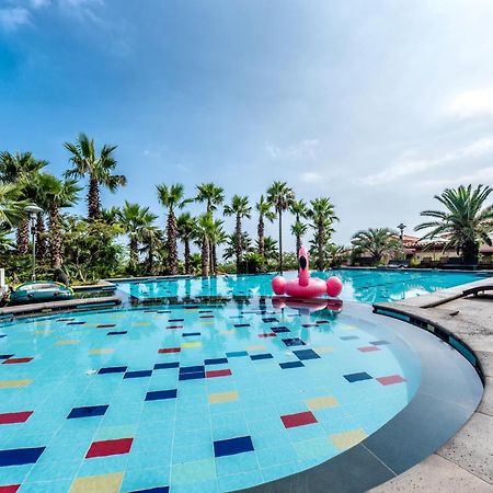 Palm Valley Resort Seogwipo Exterior foto